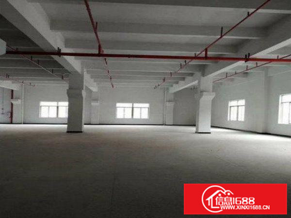 急租！凤岗雁田新空出一楼2680平带牛角豪华装修