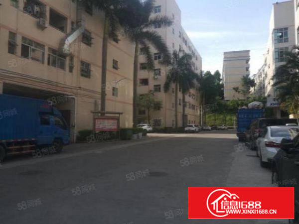 西乡九围簕竹角工业区1600平厂房仓库实际面积出租