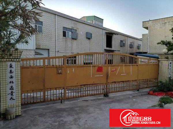 大朗镇独院厂房3600㎡钢结构厂房招租