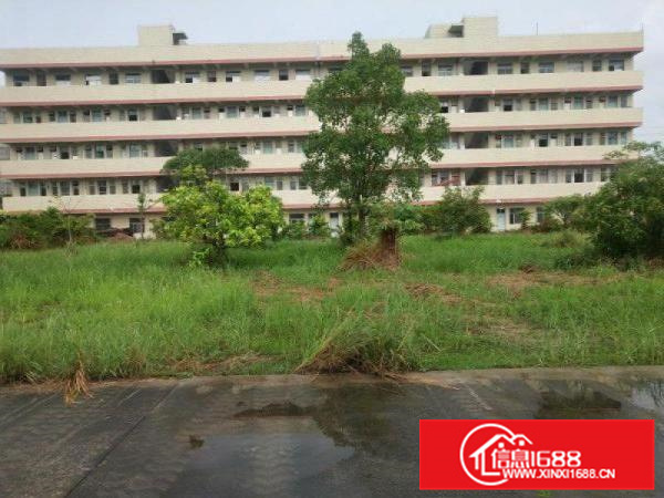 马安单一层钢构6000平米出租原房东