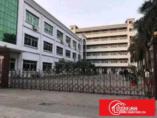 花园式独院厂房一楼730平米招租