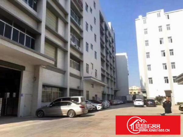 凤岗金凤凰空出一楼1500平大小可分租