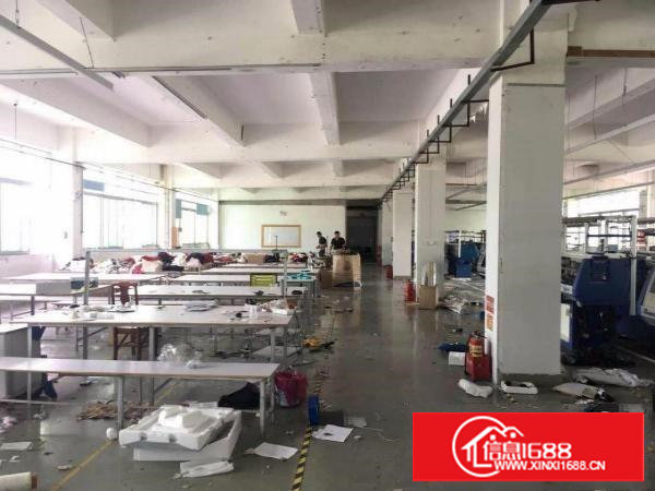 原房东：沙湖4.5米高1500平方电子制衣厂房精装，毗邻深圳