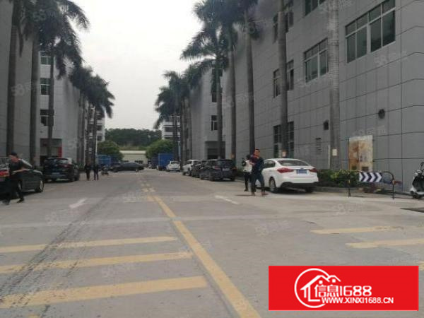 天堂围工业区独栋厂房3层4500平方！可分租！现成办公室装修