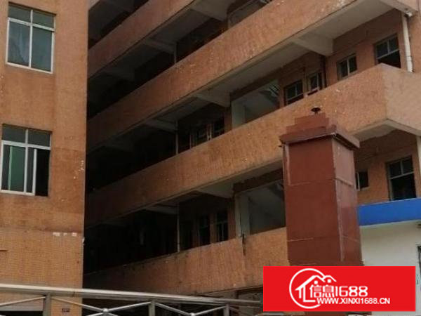 独栋独院村委原房东厂房