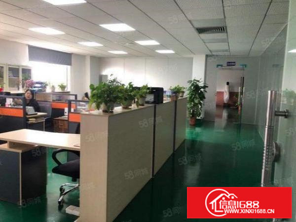 清溪新出楼上一整层面积实在