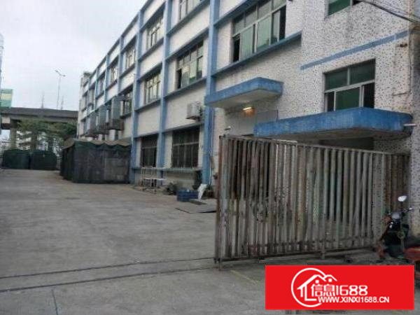 常平袁山贝独门独院厂房5000平米厂房出租