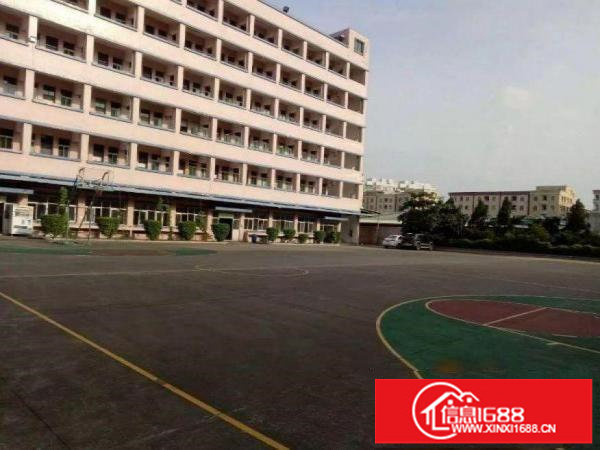 出租坪山新区坪山漂亮厂房800平方米