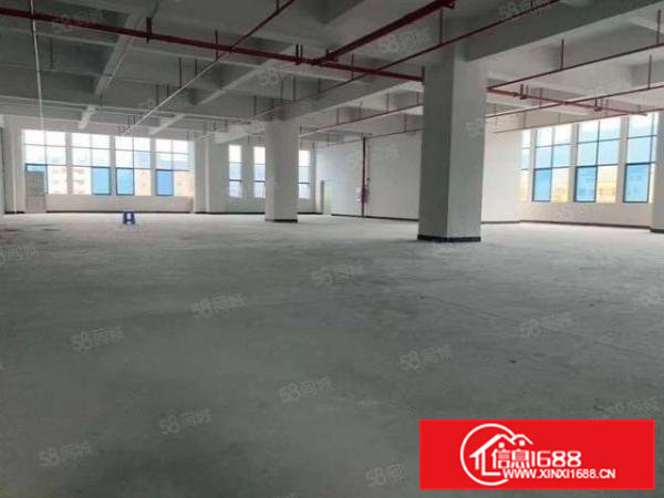 南栅全新原房东厂房出租，面积大小可租