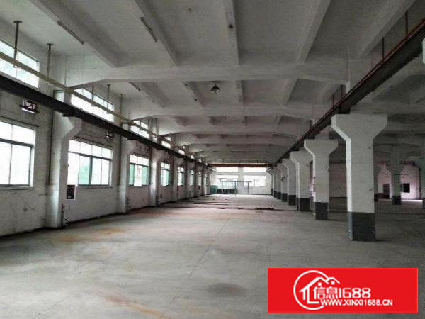 塘厦大坪原房东标准一楼1500平米，无公摊（出租）