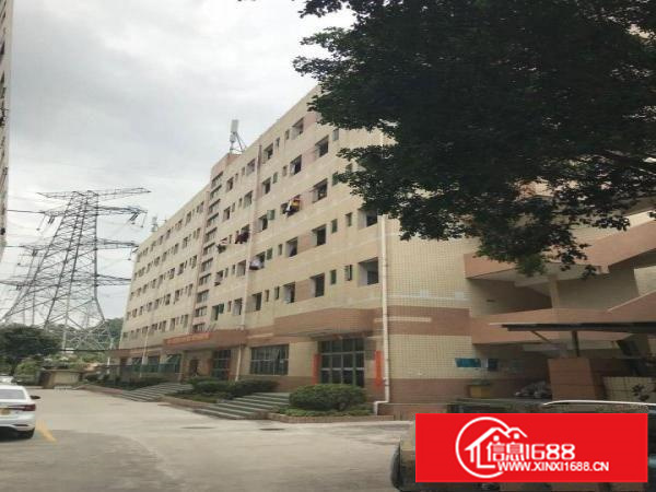 地铁口厂房出租3000-24000平大空地进出方便