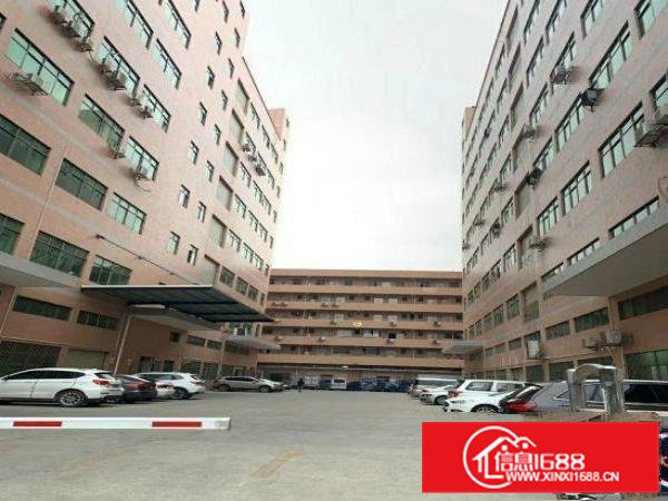 黄家壆新出一楼1500平带阁楼办公室厂房招租