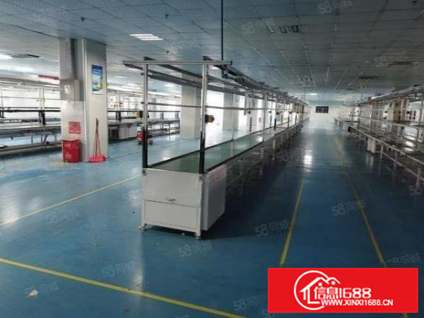 大朗原房东独院13000平