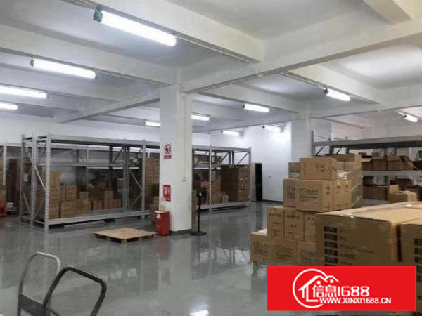 大岭山金桔村二楼标准厂房950平方米出租四面采光