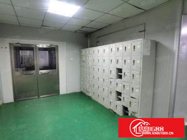 清溪青湖工业园900平厂房招租,水电齐全,现成办公室,空地大