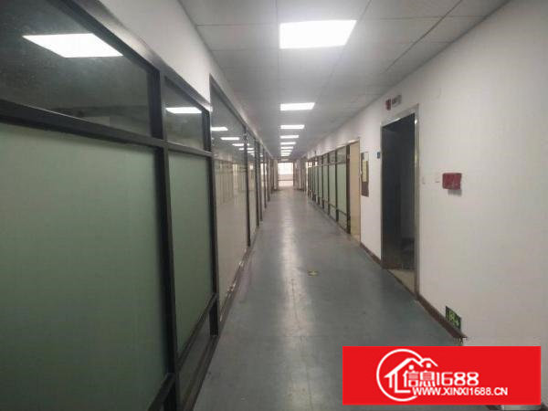 龙岗地铁口2000平电商办公厂房出租100平起分租