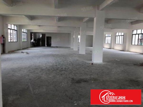 非中介，石碣滨江东路165独门独园厂房