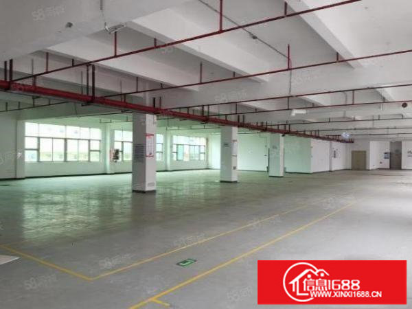 坑梓豪华独院厂房2700平可分租配电5000KVA近国道