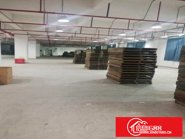 大工业区二楼1100平米厂房出租，有红本，空地大