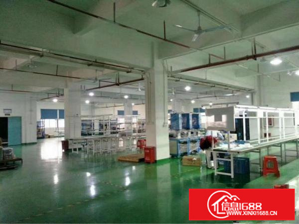 清溪三中标准厂房二楼1400平方带豪华装修急租