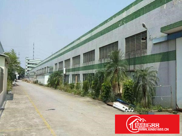 高埗大型工业新出单一层滴水15米4500平方厂房带行车出租