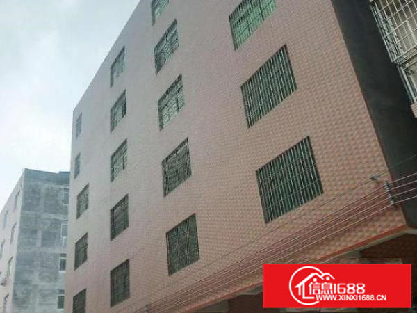 大岭山房东一手厂房出租，交通方便，有电梯。