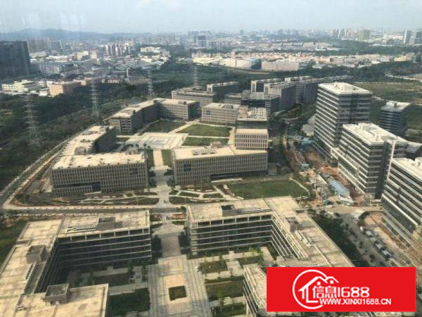 大岭山镇新出原房东花园式玻璃外墙厂房40万平方招租（可分租