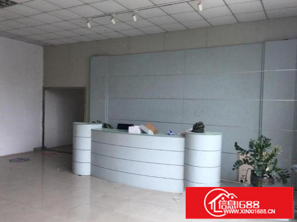 红本标准厂房500平方超低出租环境优雅