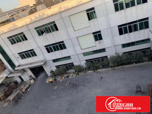 横沥镇山厦村四海新出一楼小面积300平方出租