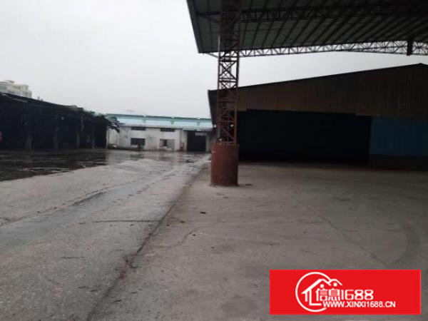 靠马路，可做废品打包！长安钢结构独院厂房2300平，