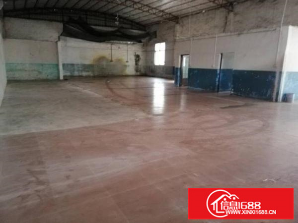 狮山有351和831厂房出租，带空地，形象好