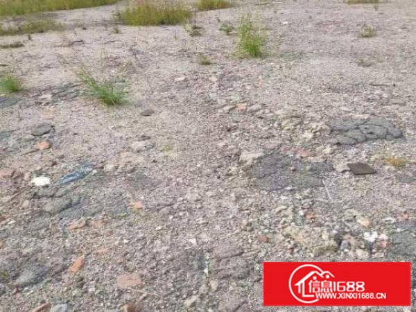 出租龙华空地3000平方