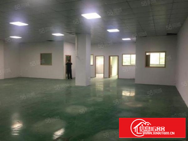 新出一楼标准厂房，价格实惠