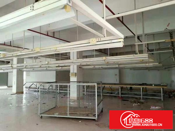 龙岗区坪地一楼600平方急租，适合无污染行业。