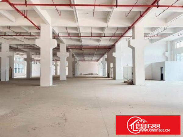 常平原房东出租标准全新一楼厂房2500平方