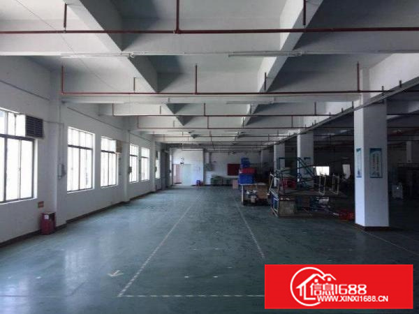 惠州小金口独门独院5000平米厂房出租