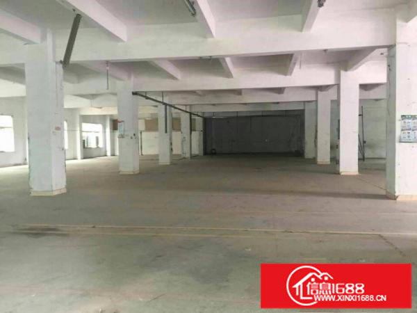 龙岗带装修厂房1200平米整层出租，无公摊面积