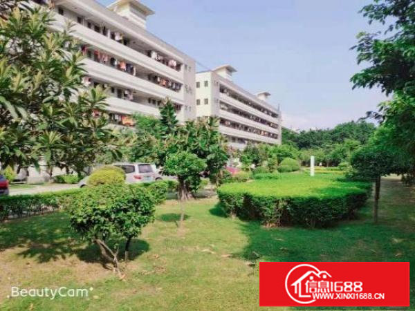 燕川星辉工业城新出楼上厂房1401平方实际面积有红本合同5年