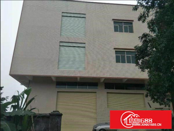 杨屋原房东标准3层900平厂房出租带精装修水电无公摊杂费