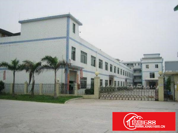 桥头一手原房东独院标准厂房660平方出租，带水电