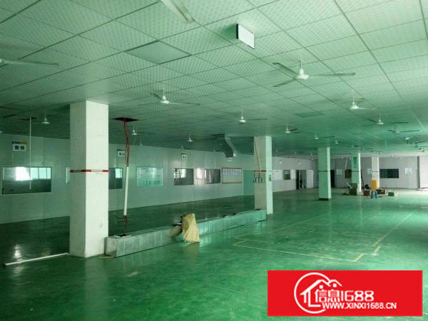 清平高速出口3楼1500平米豪华装修厂房出租