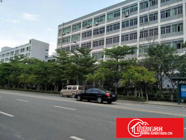 坪山石井工业园楼上800平实际面积厂房出租