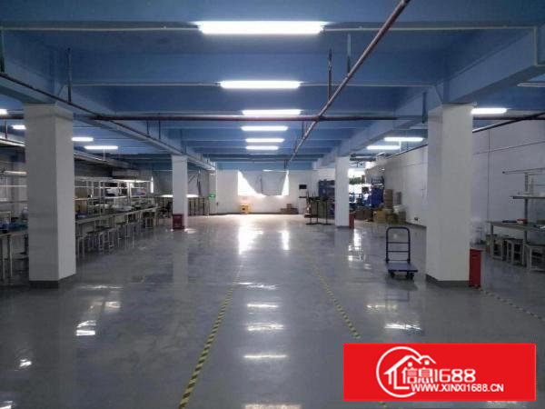 塘厦龙背岭工业区标准1楼1200平方！现成主线现成办公室装修