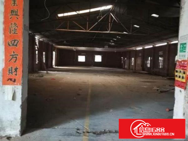 厂房位于高埗镇高龙路冼沙加油站附近