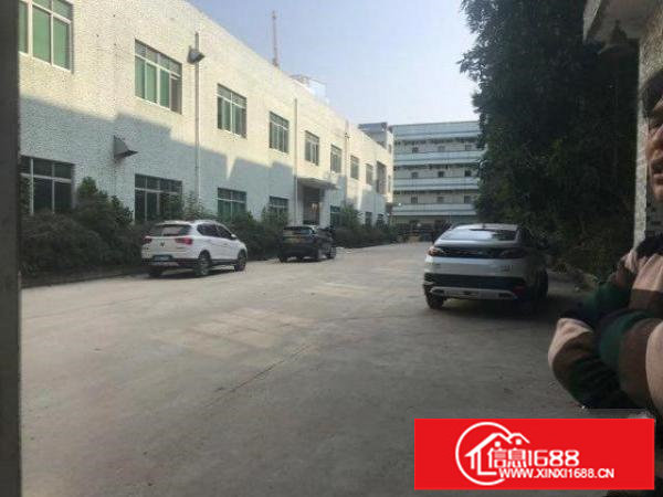 龙岗同乐新出能过环评独院厂房4100平方，报价16元