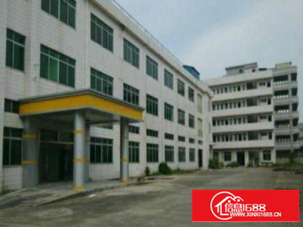 万江标准厂房一楼1700平方，地板漆车间宿舍按需现成水电