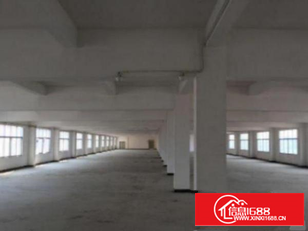 万江周边标准厂房出租每层1200方可以分租