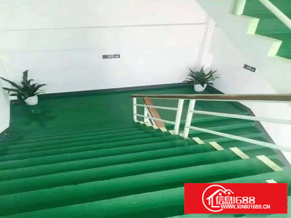 坪地无尘车间2000平方配装修办公区出租