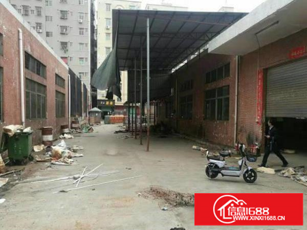 观澜环观中路横坑轻轨单一层独院厂房出租