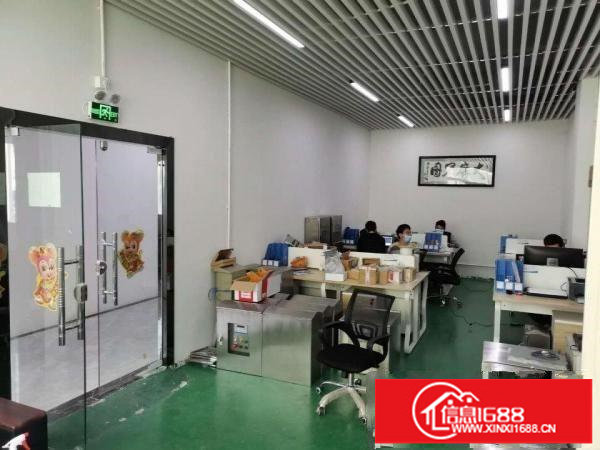 出租龙岗区坂田金源科技园精装厂房/仓库免转让费